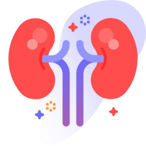 Kidney Function Test (KFT)